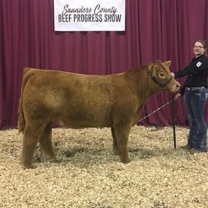 Meet your Posher, Jamie